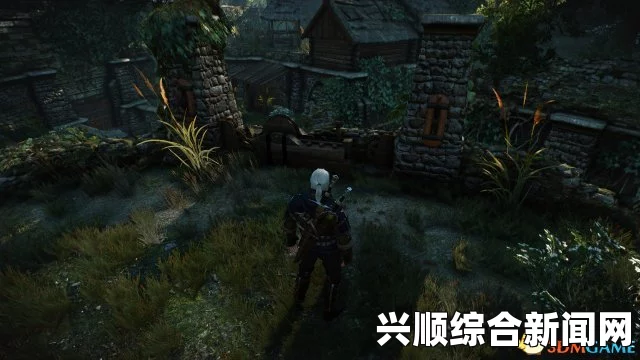 巫师3狂猎 支线任务披着狼皮关键点解析