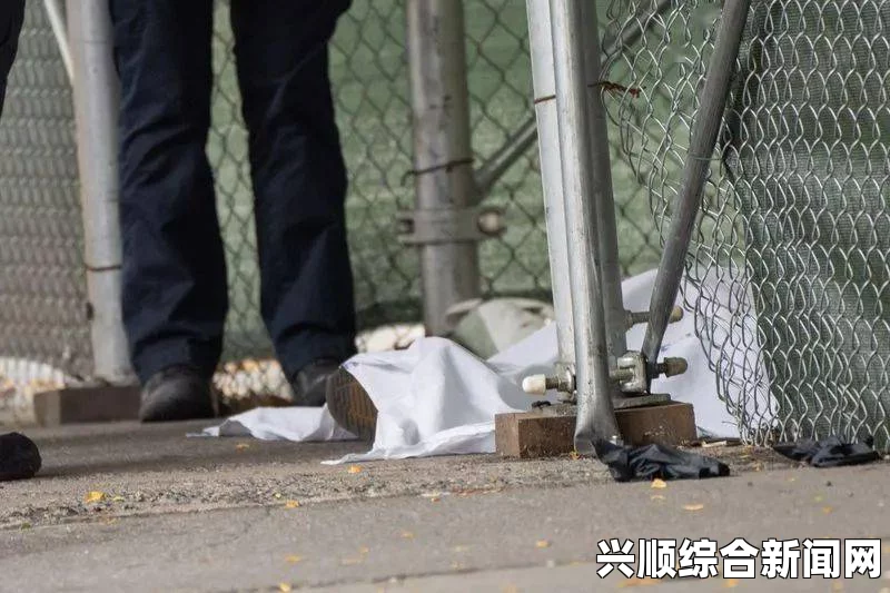 纽约街头男子持斧头袭警事件可能与伊斯兰国有关