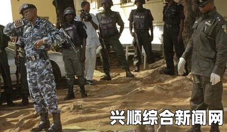 尼日利亚玛法地区遭武装分子袭击，悲剧背后的真相探寻