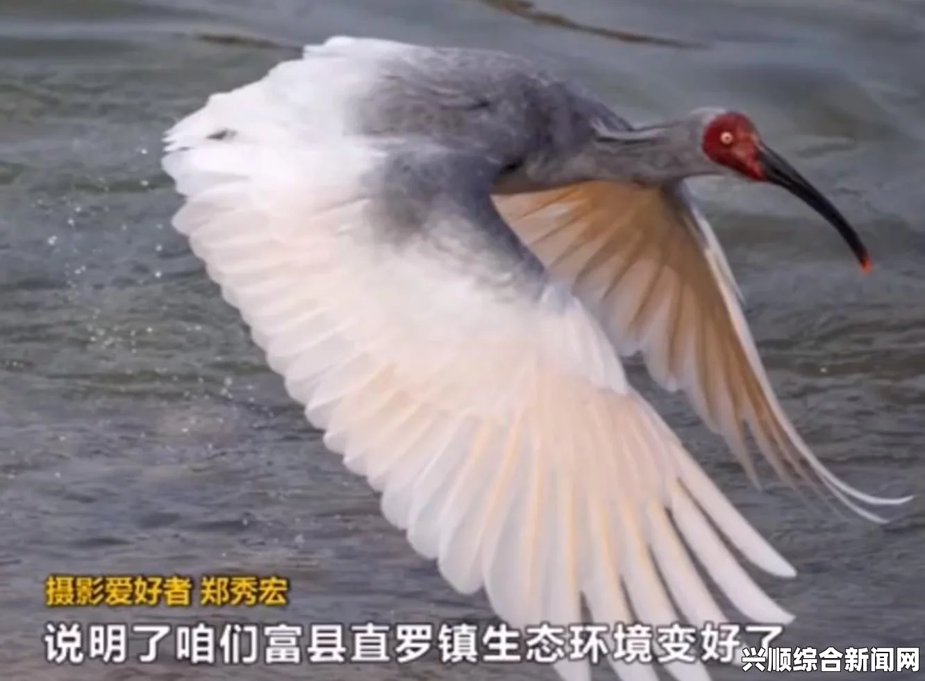 俄罗斯传奇家族，一妇育出69子，子孙繁衍至近七万之众