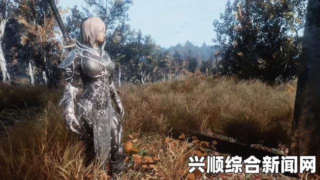 上古卷轴5服装MOD的魅力深度解析