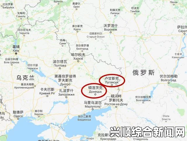 德国政府表态，不承认乌克兰东部地区选举结果，违反乌克兰宪法