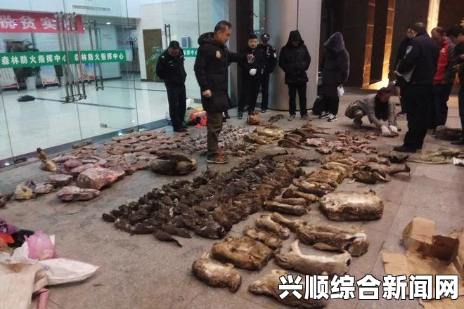 怪物猎人世界鳞片蝙蝠捕捉攻略
