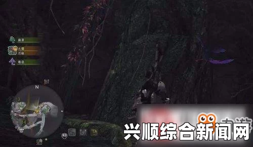 怪物猎人世界幽闪蝶的位置与捕捉攻略