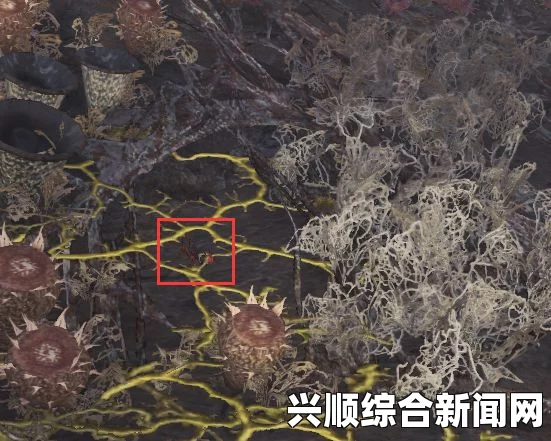 怪物猎人世界，探寻暴君蚂蚱的秘密捕捉地点