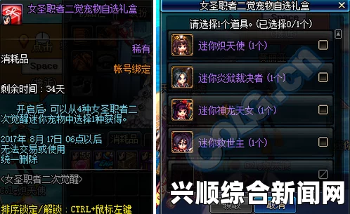 DNF女圣职者二觉宠物自选礼盒攻略，获取方法与礼盒内容揭秘